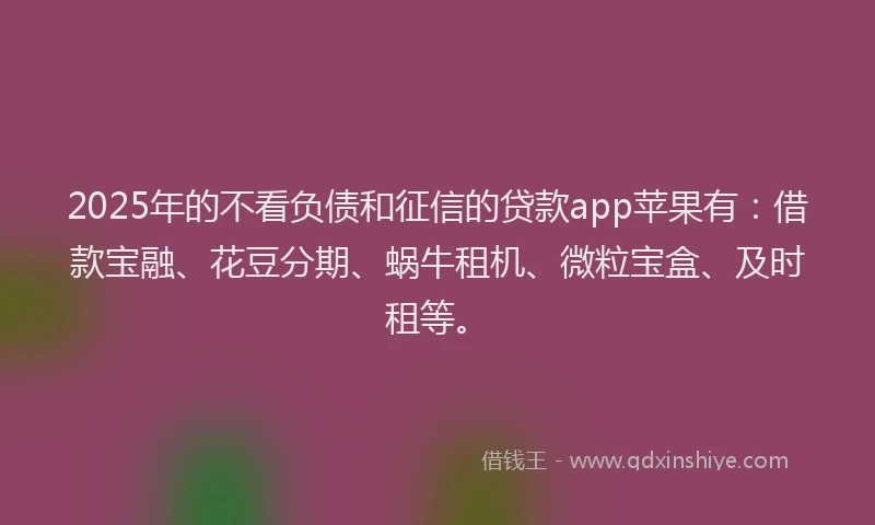 2025年的不看负债和征信的贷款app苹果有：借款宝融、花豆分期、蜗牛租机、微粒宝盒、及时租等。