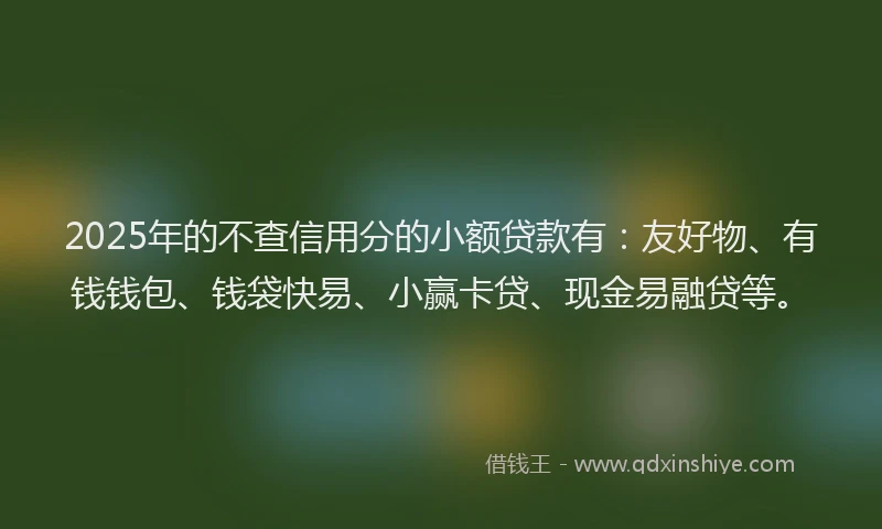 2025年的不查信用分的小额贷款有：友好物、有钱钱包、钱袋快易、小赢卡贷、现金易融贷等。