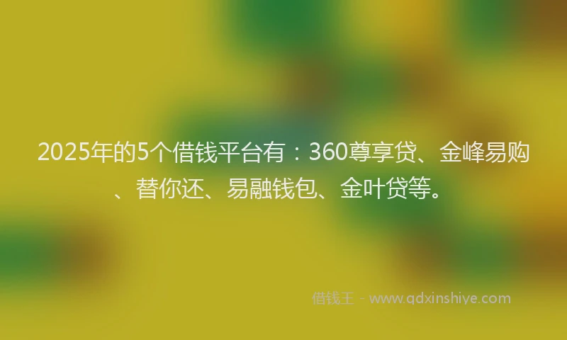 2025年的5个借钱平台有：360尊享贷、金峰易购、替你还、易融钱包、金叶贷等。
