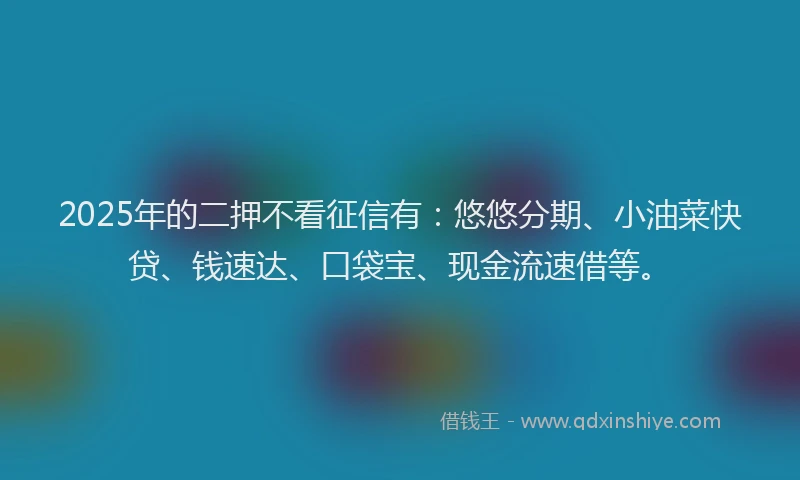 2025年的二押不看征信有：悠悠分期、小油菜快贷、钱速达、口袋宝、现金流速借等。