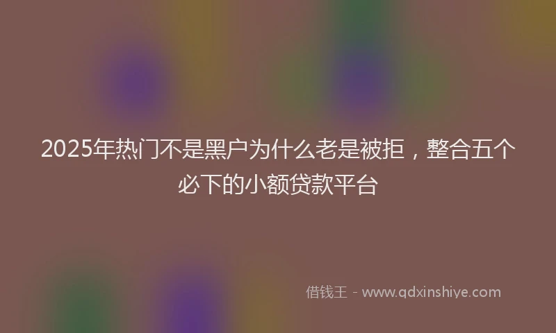2025年热门不是黑户为什么老是被拒，整合五个必下的小额贷款平台