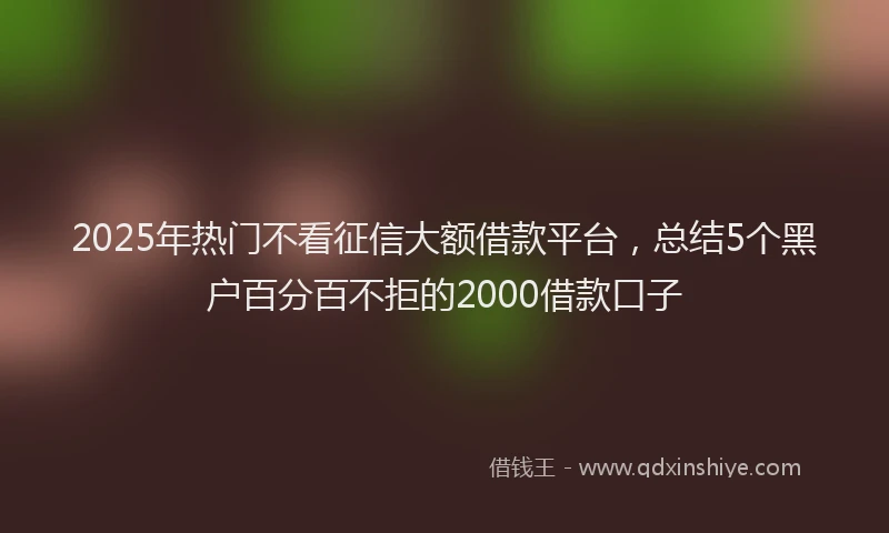 2025年热门不看征信大额借款平台，总结5个黑户百分百不拒的2000借款口子