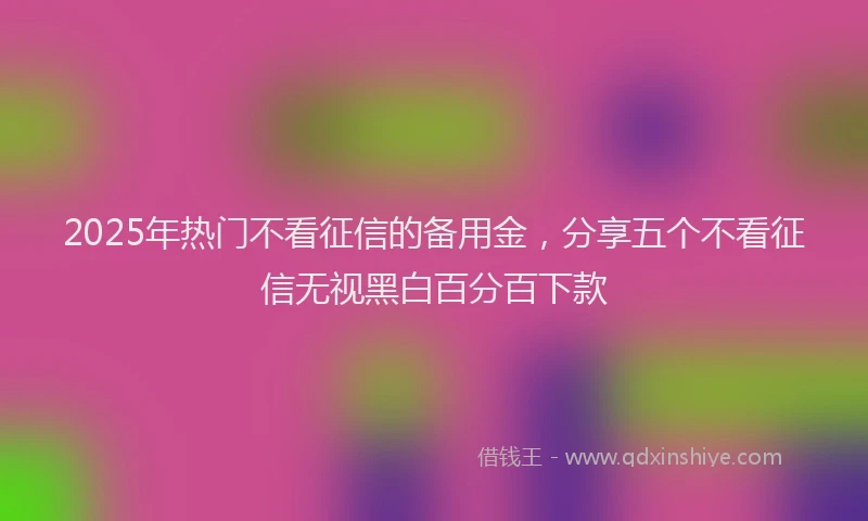 2025年热门不看征信的备用金，分享五个不看征信无视黑白百分百下款
