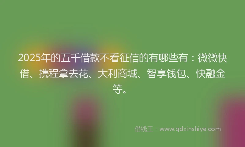 2025年的五千借款不看征信的有哪些有：微微快借、携程拿去花、大利商城、智享钱包、快融金等。