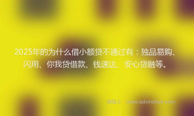 2025年的为什么借小额贷不通过有：独品易购、闪用、你我贷借款、钱速达、安心贷融等。