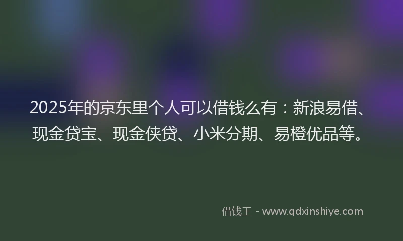 2025年的京东里个人可以借钱么有：新浪易借、现金贷宝、现金侠贷、小米分期、易橙优品等。
