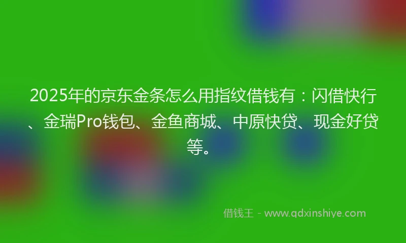 2025年的京东金条怎么用指纹借钱有：闪借快行、金瑞Pro钱包、金鱼商城、中原快贷、现金好贷等。