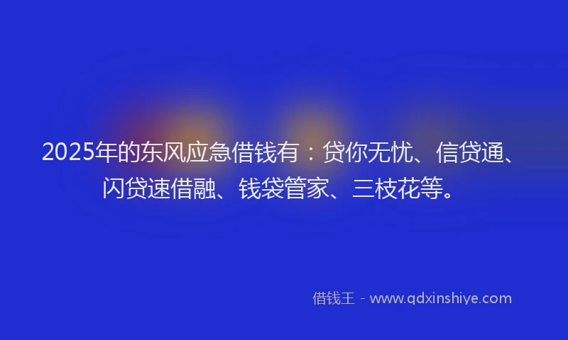 2025年的东风应急借钱有：贷你无忧、信贷通、闪贷速借融、钱袋管家、三枝花等。