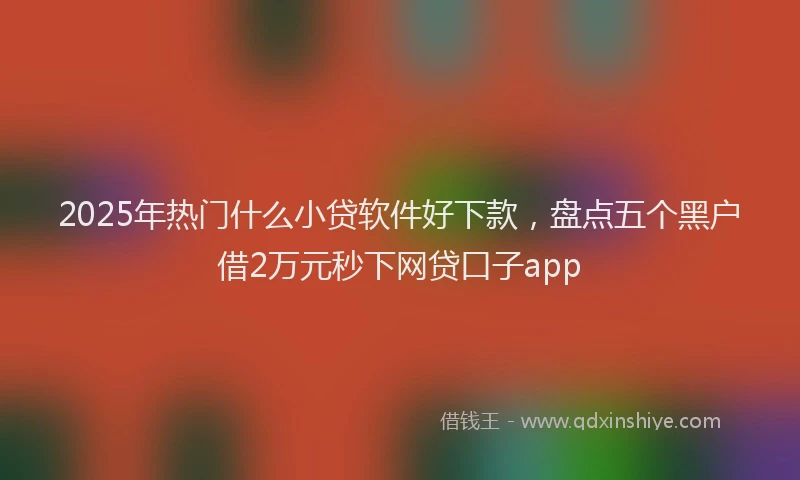 2025年热门什么小贷软件好下款，盘点五个黑户借2万元秒下网贷口子app