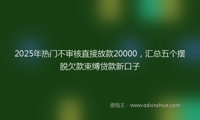 2025年热门不审核直接放款20000，汇总五个摆脱欠款束缚贷款新口子