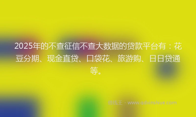 2025年的不查征信不查大数据的贷款平台有：花豆分期、现金直贷、口袋花、旅游购、日日贷通等。
