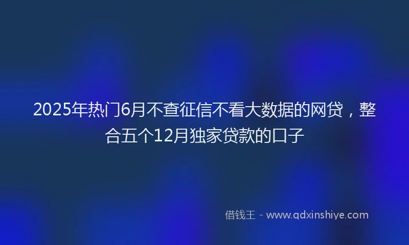 2025年热门6月不查征信不看大数据的网贷，整合五个12月独家贷款的口子