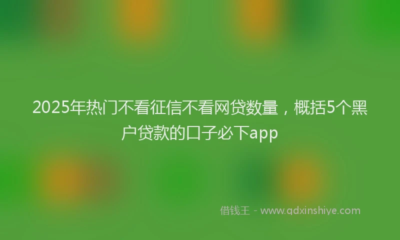 2025年热门不看征信不看网贷数量，概括5个黑户贷款的口子必下app