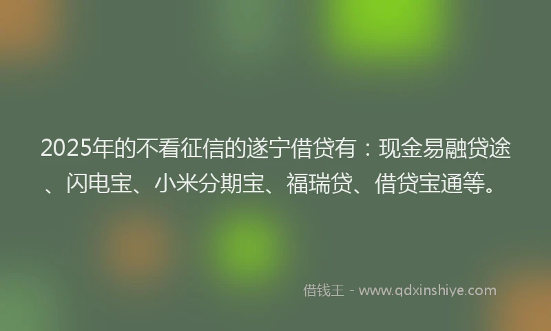 2025年的不看征信的遂宁借贷有：现金易融贷途、闪电宝、小米分期宝、福瑞贷、借贷宝通等。
