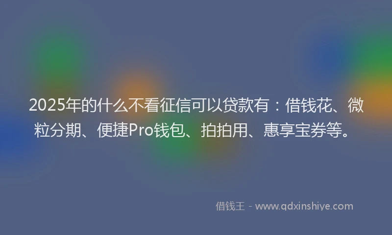 2025年的什么不看征信可以贷款有：借钱花、微粒分期、便捷Pro钱包、拍拍用、惠享宝券等。