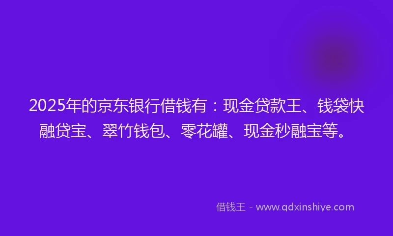 2025年的京东银行借钱有：现金贷款王、钱袋快融贷宝、翠竹钱包、零花罐、现金秒融宝等。