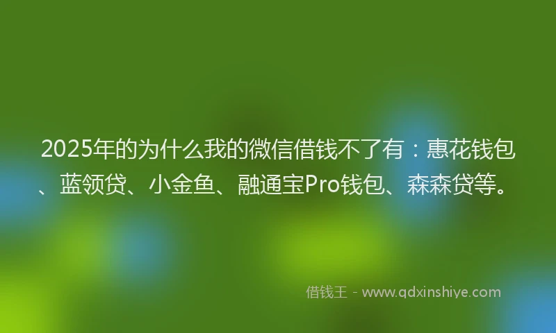 2025年的为什么我的微信借钱不了有：惠花钱包、蓝领贷、小金鱼、融通宝Pro钱包、森森贷等。