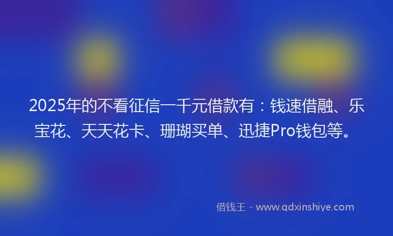 2025年的不看征信一千元借款有：钱速借融、乐宝花、天天花卡、珊瑚买单、迅捷Pro钱包等。