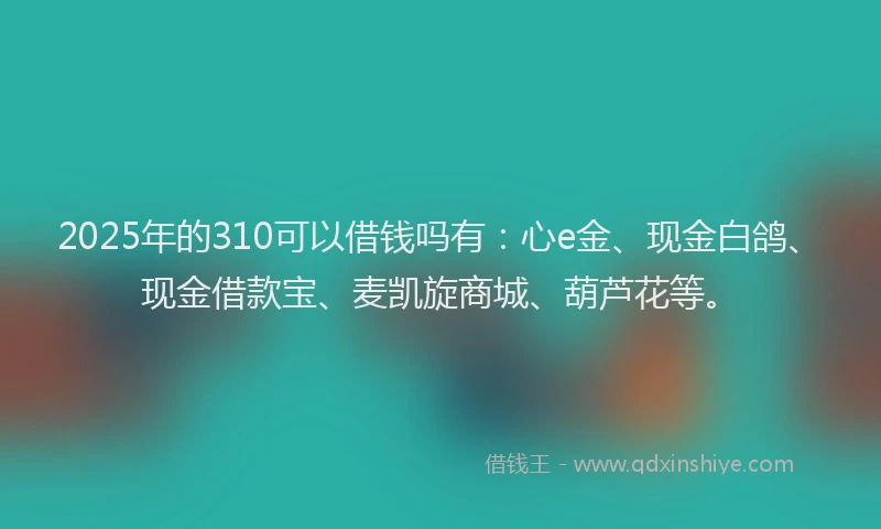 2025年的310可以借钱吗有：心e金、现金白鸽、现金借款宝、麦凯旋商城、葫芦花等。