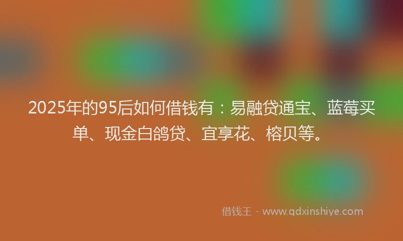 2025年的95后如何借钱有：易融贷通宝、蓝莓买单、现金白鸽贷、宜享花、榕贝等。
