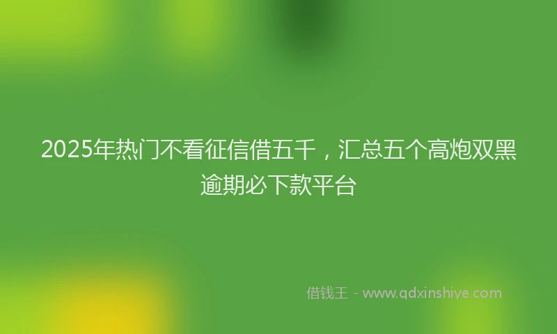 2025年热门不看征信借五千，汇总五个高炮双黑逾期必下款平台