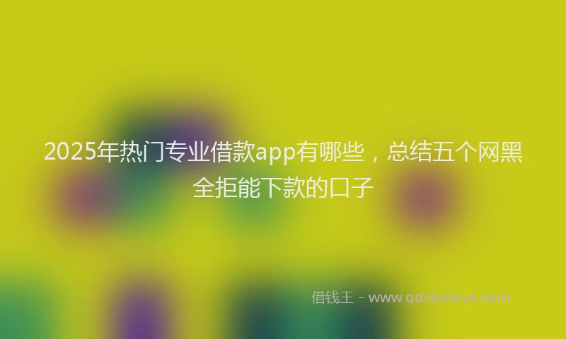 2025年热门专业借款app有哪些，总结五个网黑全拒能下款的口子
