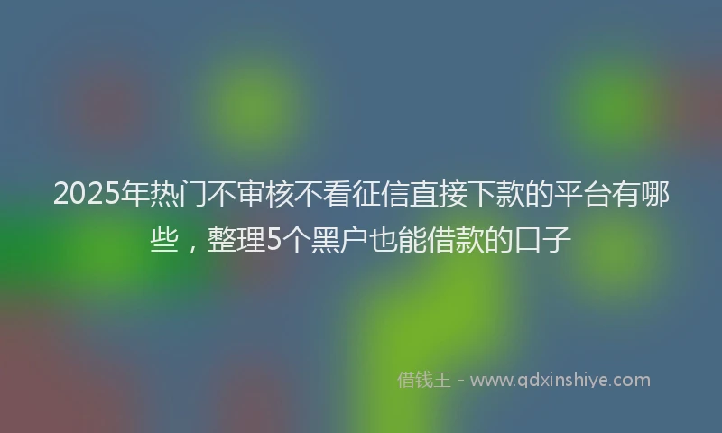 2025年热门不审核不看征信直接下款的平台有哪些，整理5个黑户也能借款的口子