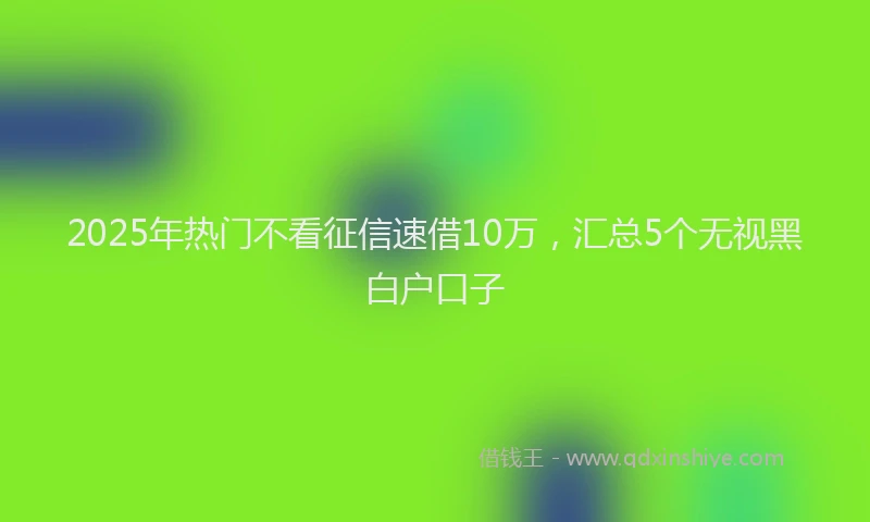 2025年热门不看征信速借10万，汇总5个无视黑白户口子