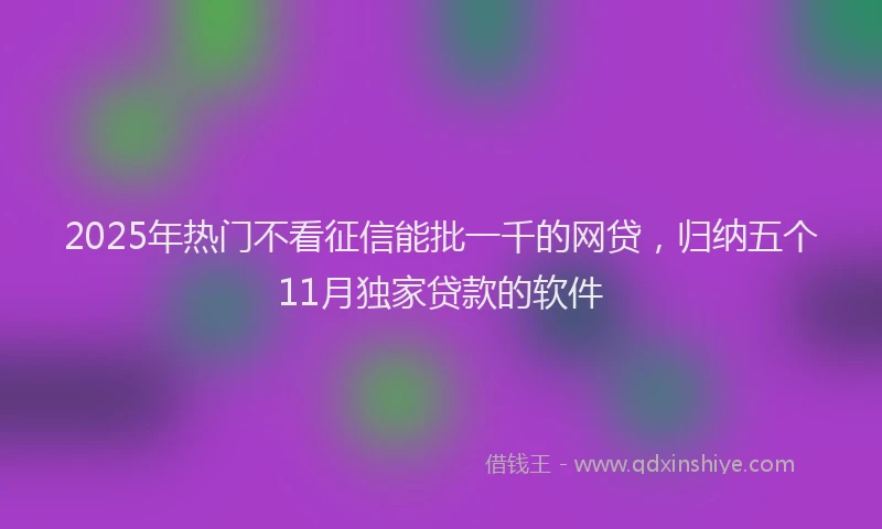 2025年热门不看征信能批一千的网贷，归纳五个11月独家贷款的软件