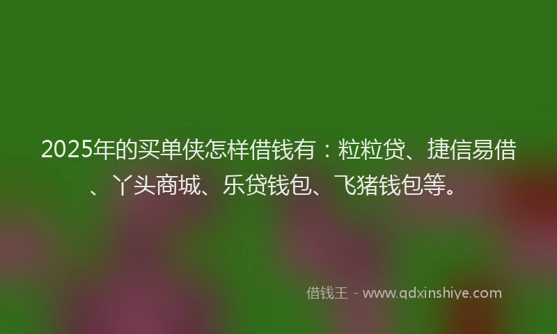 2025年的买单侠怎样借钱有：粒粒贷、捷信易借、丫头商城、乐贷钱包、飞猪钱包等。