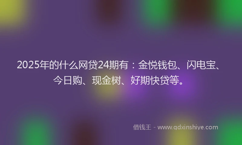 2025年的什么网贷24期有：金悦钱包、闪电宝、今日购、现金树、好期快贷等。