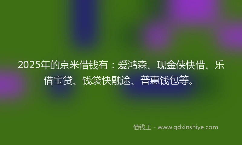 2025年的京米借钱有：爱鸿森、现金侠快借、乐借宝贷、钱袋快融途、普惠钱包等。