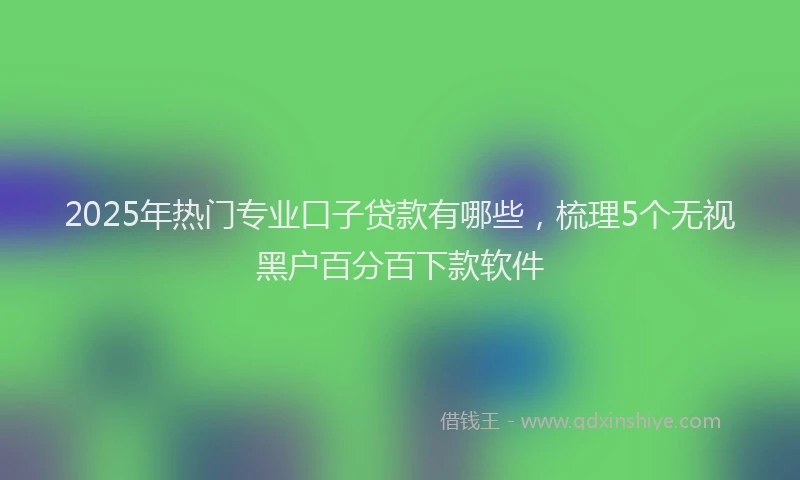 2025年热门专业口子贷款有哪些，梳理5个无视黑户百分百下款软件