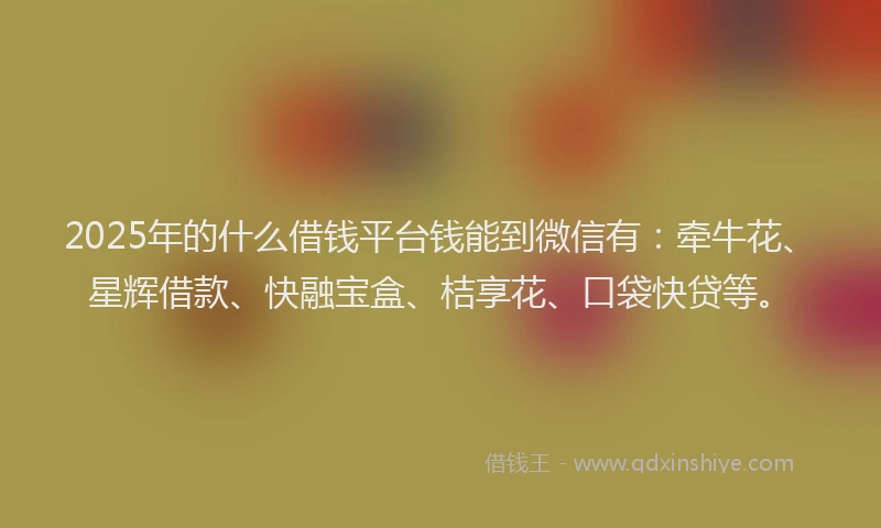 2025年的什么借钱平台钱能到微信有：牵牛花、星辉借款、快融宝盒、桔享花、口袋快贷等。