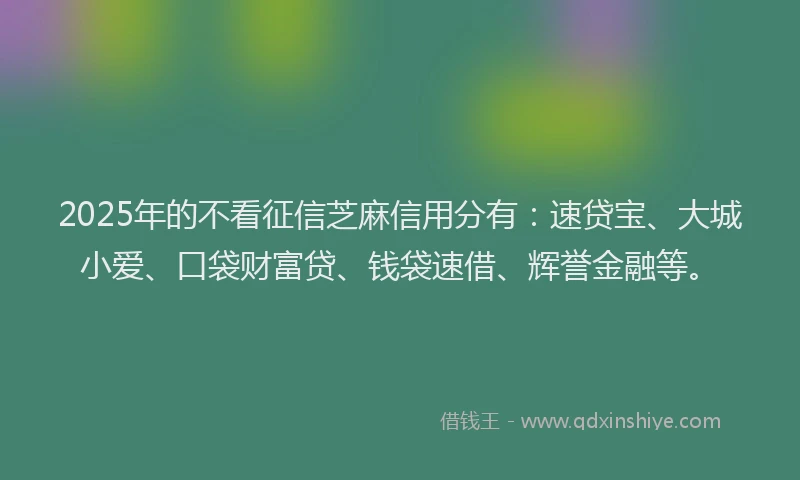 2025年的不看征信芝麻信用分有：速贷宝、大城小爱、口袋财富贷、钱袋速借、辉誉金融等。