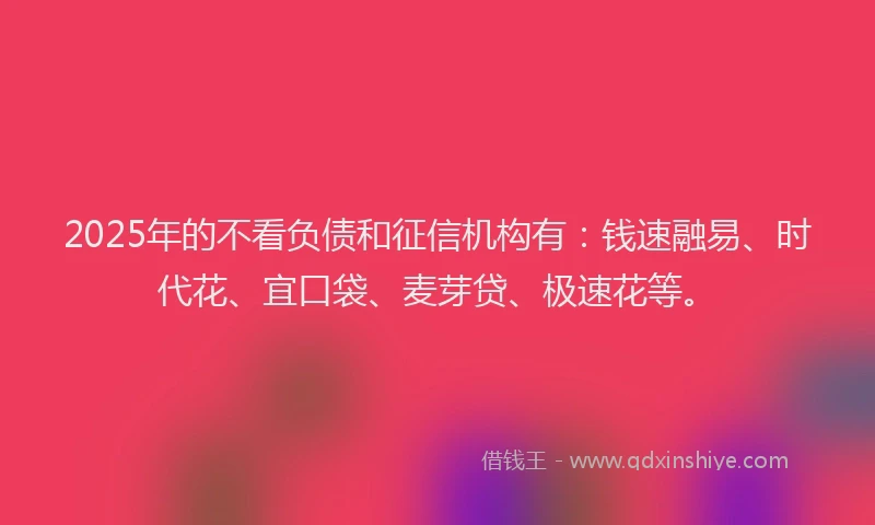 2025年的不看负债和征信机构有：钱速融易、时代花、宜口袋、麦芽贷、极速花等。
