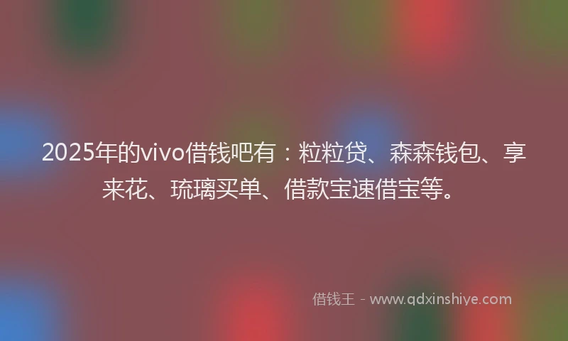 2025年的vivo借钱吧有：粒粒贷、森森钱包、享来花、琉璃买单、借款宝速借宝等。