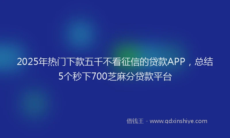 2025年热门下款五千不看征信的贷款APP，总结5个秒下700芝麻分贷款平台