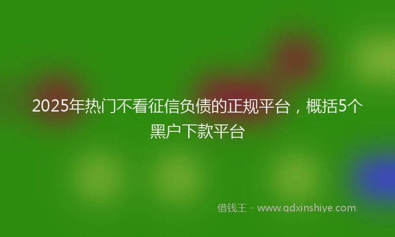 2025年热门不看征信负债的正规平台，概括5个黑户下款平台