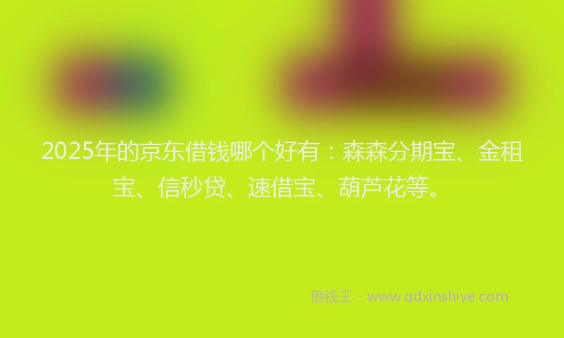 2025年的京东借钱哪个好有：森森分期宝、金租宝、信秒贷、速借宝、葫芦花等。