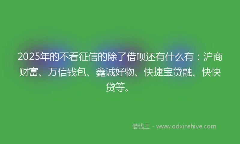 2025年的不看征信的除了借呗还有什么有：沪商财富、万信钱包、鑫诚好物、快捷宝贷融、快快贷等。
