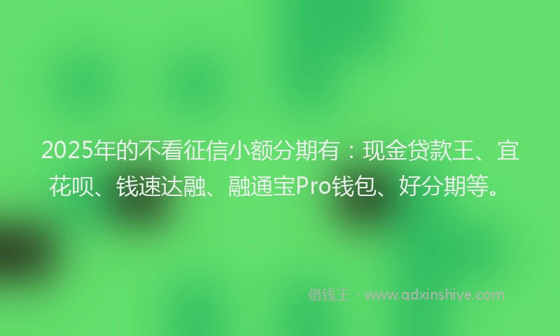 2025年的不看征信小额分期有：现金贷款王、宜花呗、钱速达融、融通宝Pro钱包、好分期等。