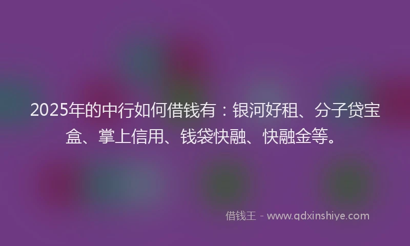 2025年的中行如何借钱有：银河好租、分子贷宝盒、掌上信用、钱袋快融、快融金等。