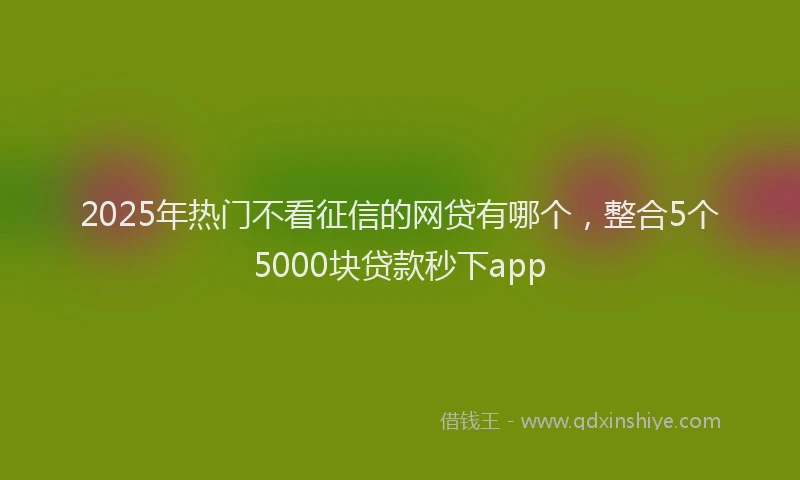 2025年热门不看征信的网贷有哪个，整合5个5000块贷款秒下app