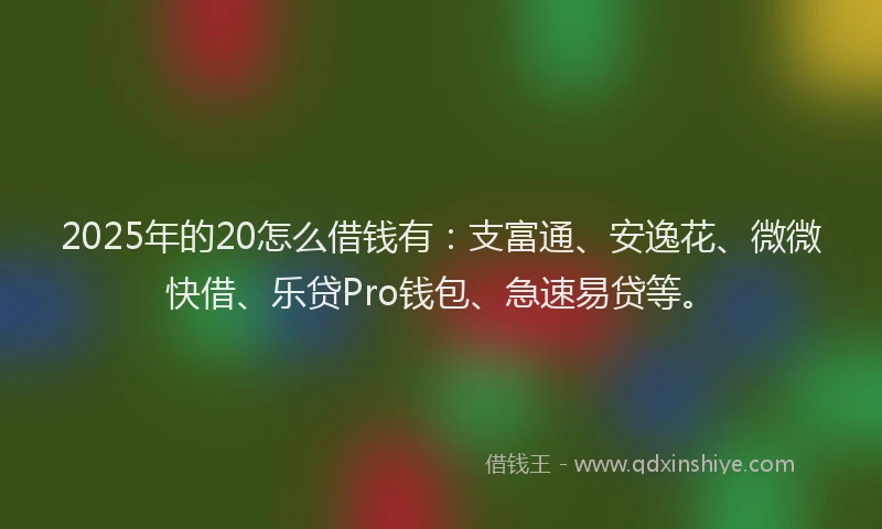 2025年的20怎么借钱有：支富通、安逸花、微微快借、乐贷Pro钱包、急速易贷等。