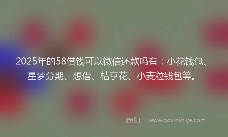 2025年的58借钱可以微信还款吗有：小花钱包、星梦分期、想借、桔享花、小麦粒钱包等。
