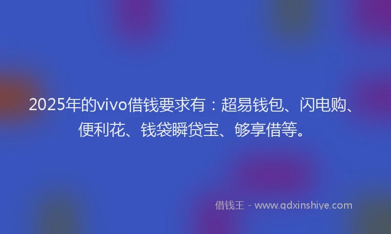 2025年的vivo借钱要求有：超易钱包、闪电购、便利花、钱袋瞬贷宝、够享借等。