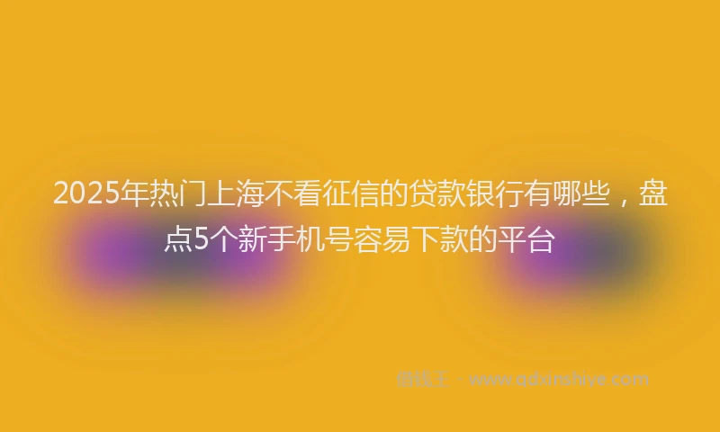 2025年热门上海不看征信的贷款银行有哪些，盘点5个新手机号容易下款的平台