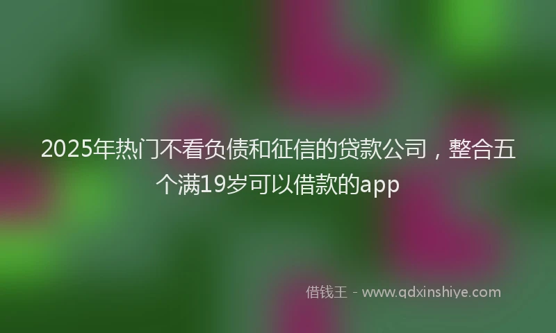 2025年热门不看负债和征信的贷款公司，整合五个满19岁可以借款的app