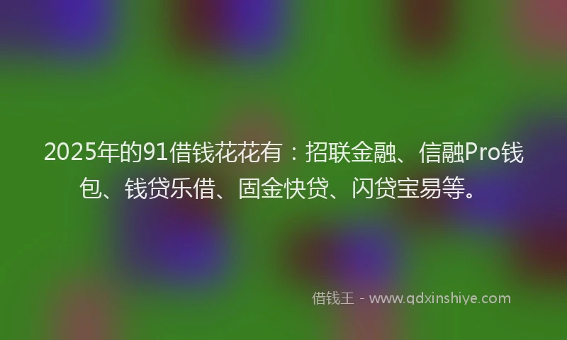 2025年的91借钱花花有：招联金融、信融Pro钱包、钱贷乐借、固金快贷、闪贷宝易等。